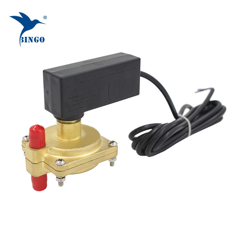 Differential pressure type water flow switch